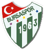 Bursa Spor